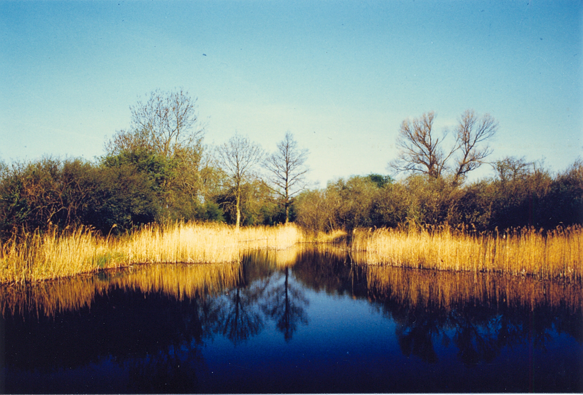 Wicken Fen Social and Natural History Project