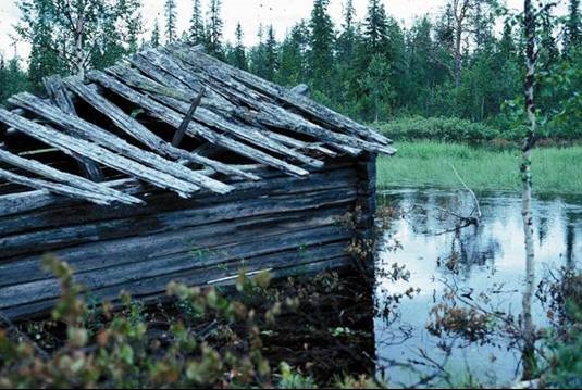  'Vasikkavuoma Hay-Mire, Pajala'