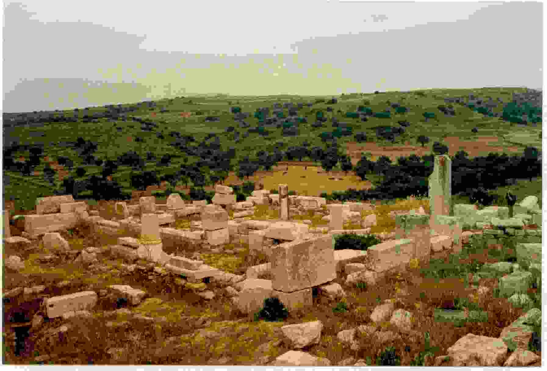 Image 'Archeological Sites in Naxos: Yria/Yiroulas - Sangri'