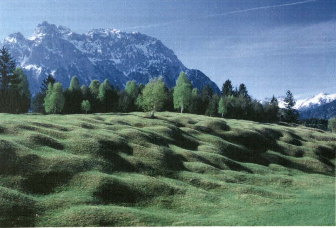 The Mittenwalder Buckelwiesen hilly meadows and pasture land