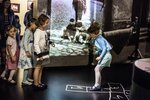 Jewish Cultural Heritage: Educational Programme