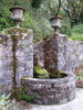 An Inventory of Historic Gardens and Designed Landscapes in Ireland