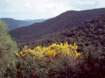  'Mount Arcosu Nature Reserve, Uta-Cagliari'