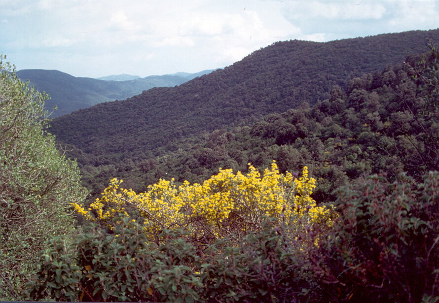 Mount Arcosu Nature Reserve, Uta-Cagliari