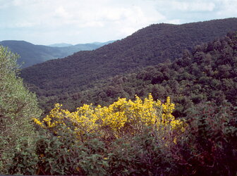 Image 'Mount Arcosu Nature Reserve, Uta-Cagliari'