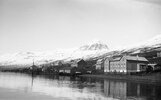 The French Hospital in Faskrudsfjordurt