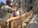 Carpenters without borders for Notre-Dame de Paris: handmade craftsmanship for reconstruction of the roof of the cathedral