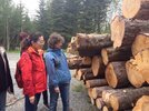 International Course on Wood Conservation Technology (ICWCT)