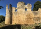 Castle of Montreuil Bonnin