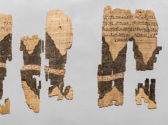 Image 'Turin Papyrus Online Platform (TPOP)'