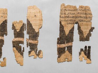  'Turin Papyrus Online Platform (TPOP)'