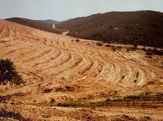 Image 'New National Park, Monfragüe'