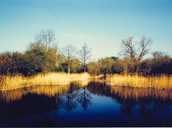 Image 'Wicken Fen Social and Natural History Project'