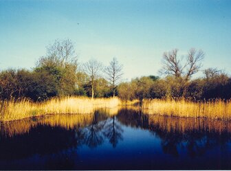  'Wicken Fen Social and Natural History Project'