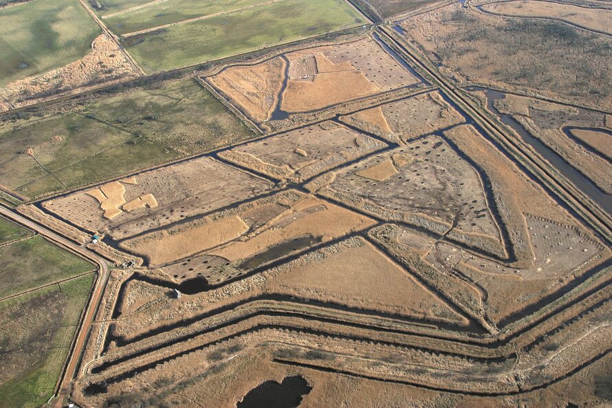 The Read & Sedge Cutters project, The Broads National Park