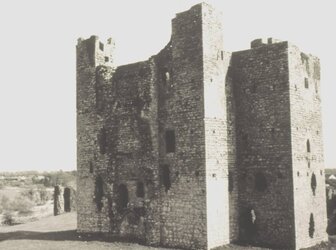 Image 'Trim Castle'