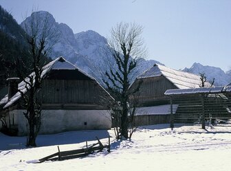  'Pocar House (Pocarjeva Domacija), Mojstrana'