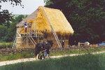 Historic building conservation programme at the Weald at Downland Open Air Museum, Singleton