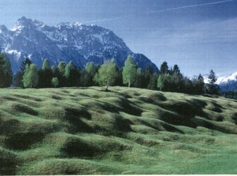 Image 'The Mittenwalder Buckelwiesen hilly meadows and pasture land '