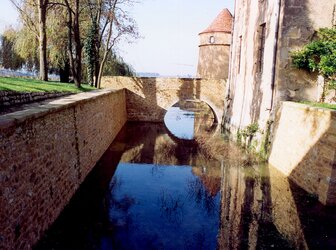 Image 'Castle of Romenay, Cercy-La-Tour'