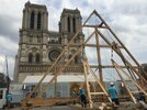 Carpenters without borders for Notre-Dame de Paris: handmade craftsmanship for reconstruction of the roof of the cathedral