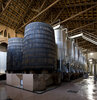 Cooperative Wineries Programme, Catalonia
