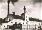 Steam Engine Brewery