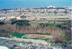 The Ghadira Nature Reserve, Malta