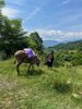 Via Transilvanica