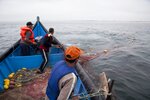 Safeguarding of the Artisanal Fishing Technique “Arte-Xávega”