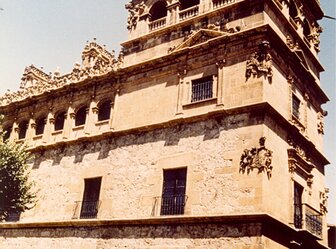  'Palace of Monterrey, Salamanca'