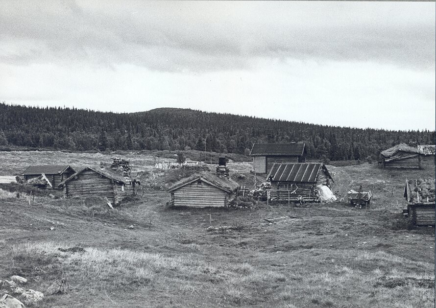 Restoration of buildings at the mountain pasture, Östra Arådalen
