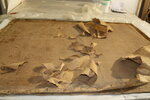 Innovative protocol for the conservation of paintings on canvas, Paris