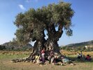 Greek Paths of Culture, Athens