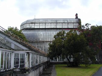 Image 'The Palm House Complex, Dublin '