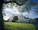 The Palm House Complex, Dublin 