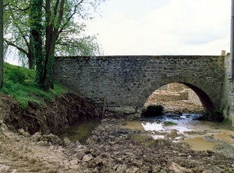  'Castle of Romenay, Cercy-La-Tour'