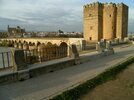 Action plan for the Roman Bridge and Surrounding Area, Cordoba